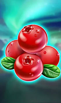 Winterberries